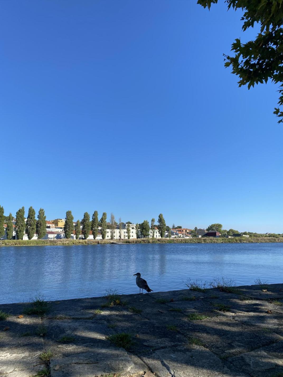 Apartament Praceta Vila Do Conde Kültér fotó